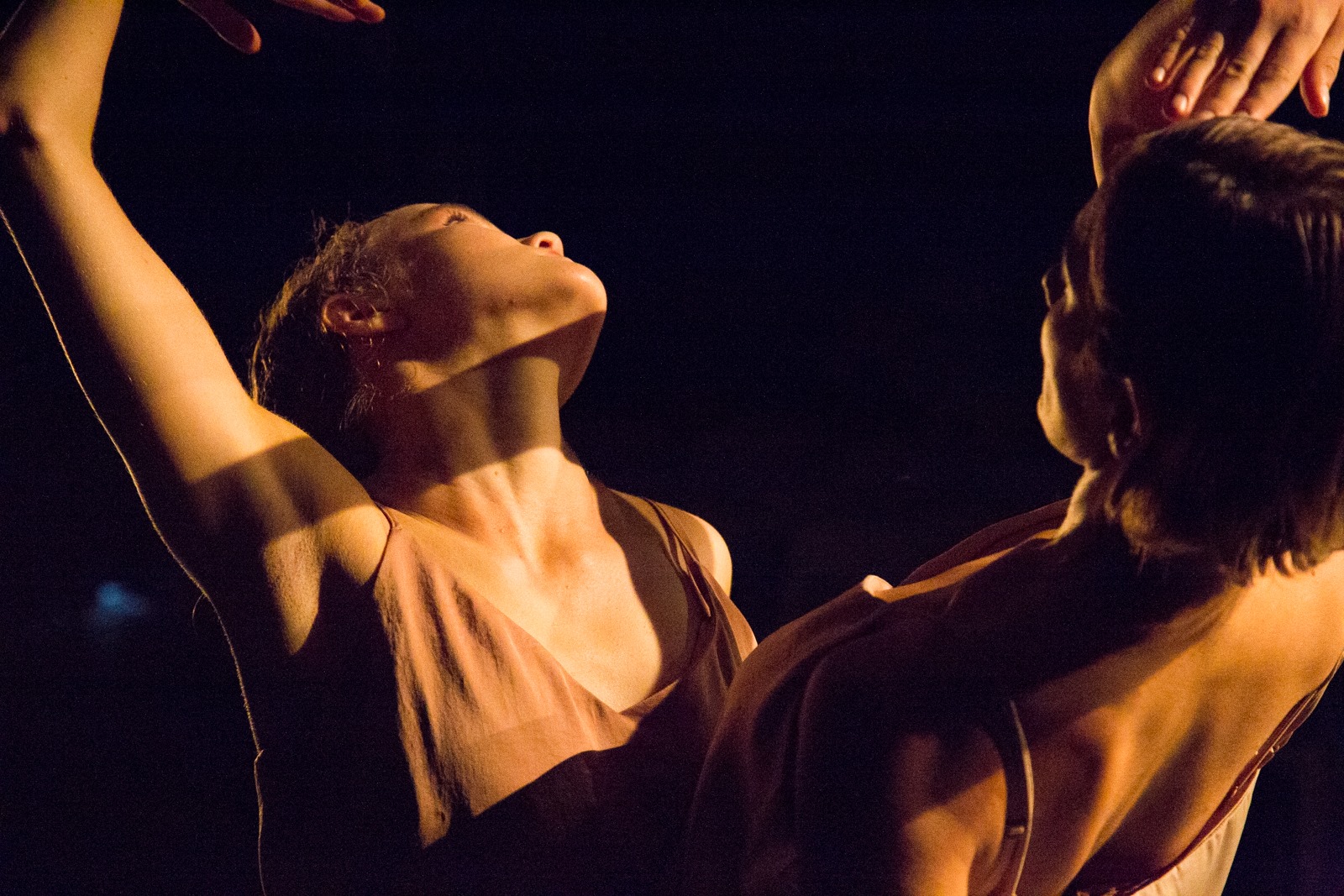 54519918_10161839742830085_9120925904225173504_o